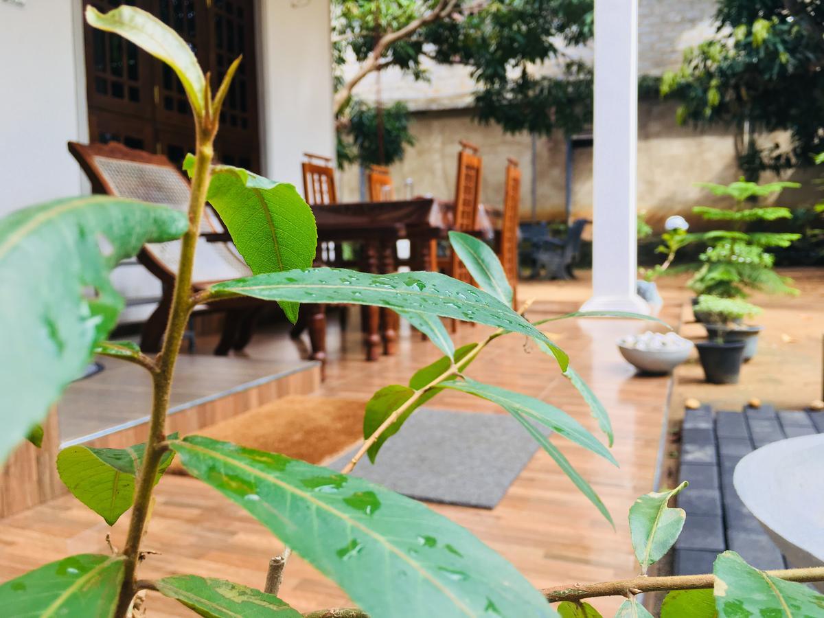 Perfect Hideout Hotel Dambulla Exterior foto